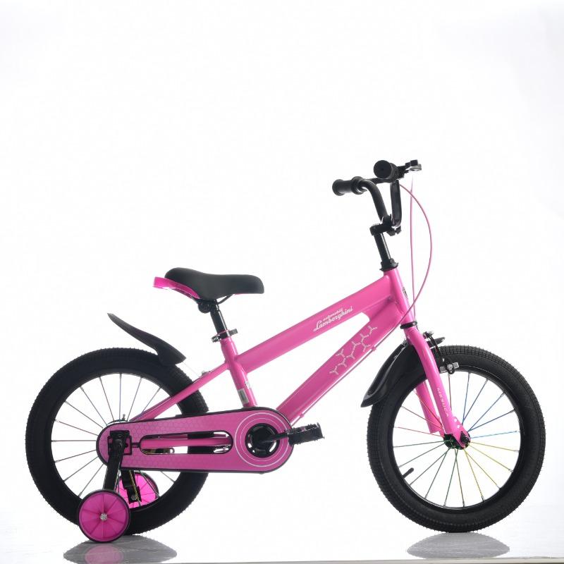 Lamborghini 20-Inch Kids Mountain Bicycle – Pink