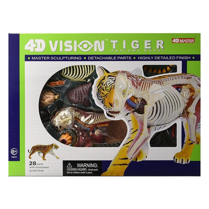 المجموعة التعليمية لتشريح النمر