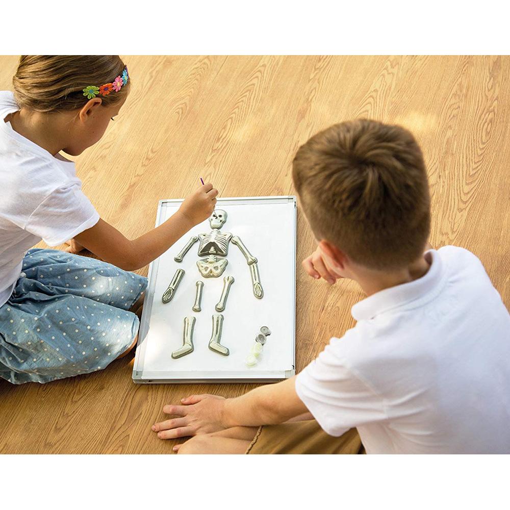 فور إم - الهيكل العظمي المضيئ