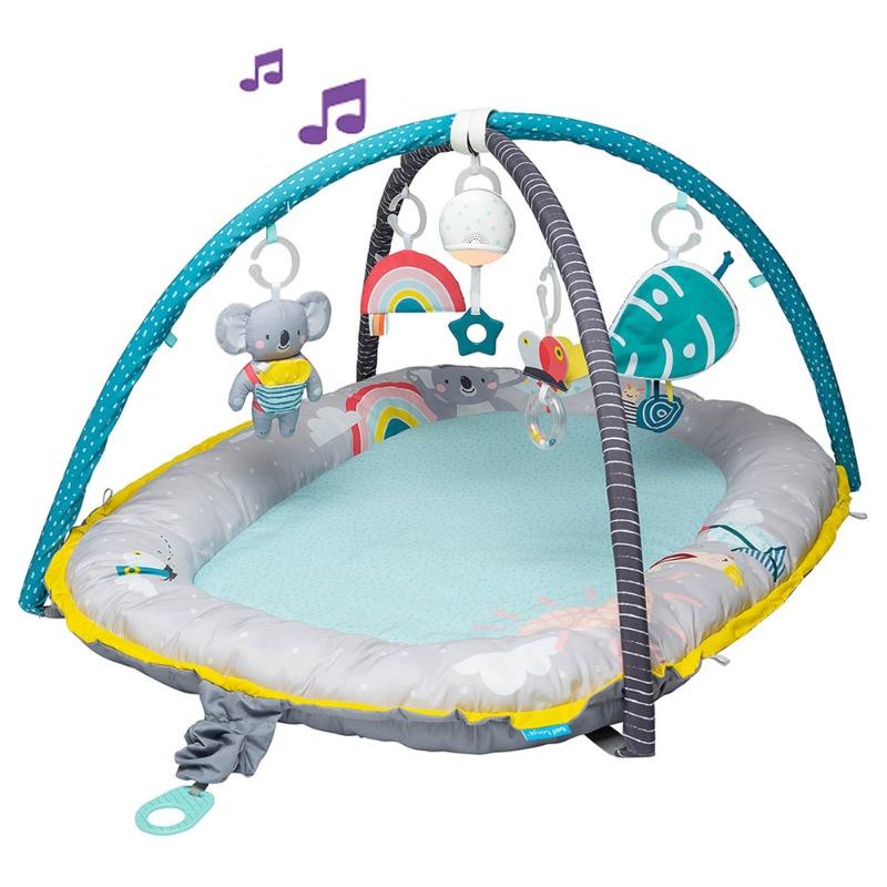 Taf Toys 4-in-1 Baby Play Mat and Infant Activity Gym