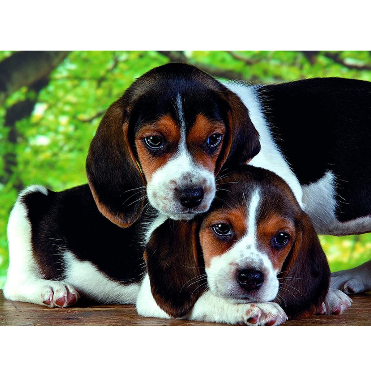 Clementoni Close Together Puzzle 500 Pcs