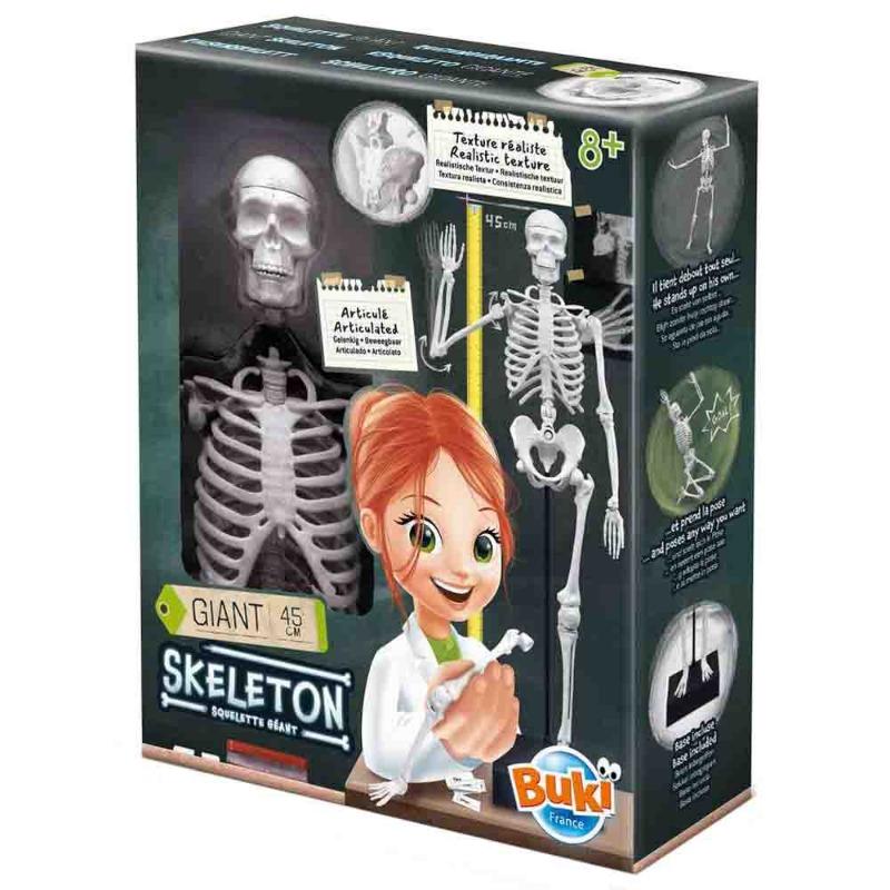 Buki France Skeleton - 45 Cm