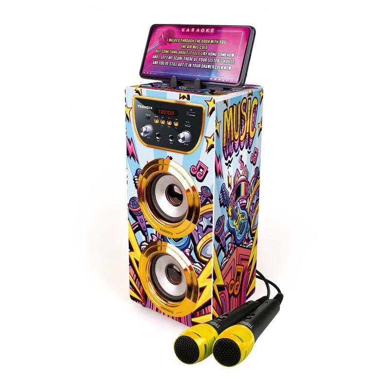 Karaoke Golden Star 2 Microphones