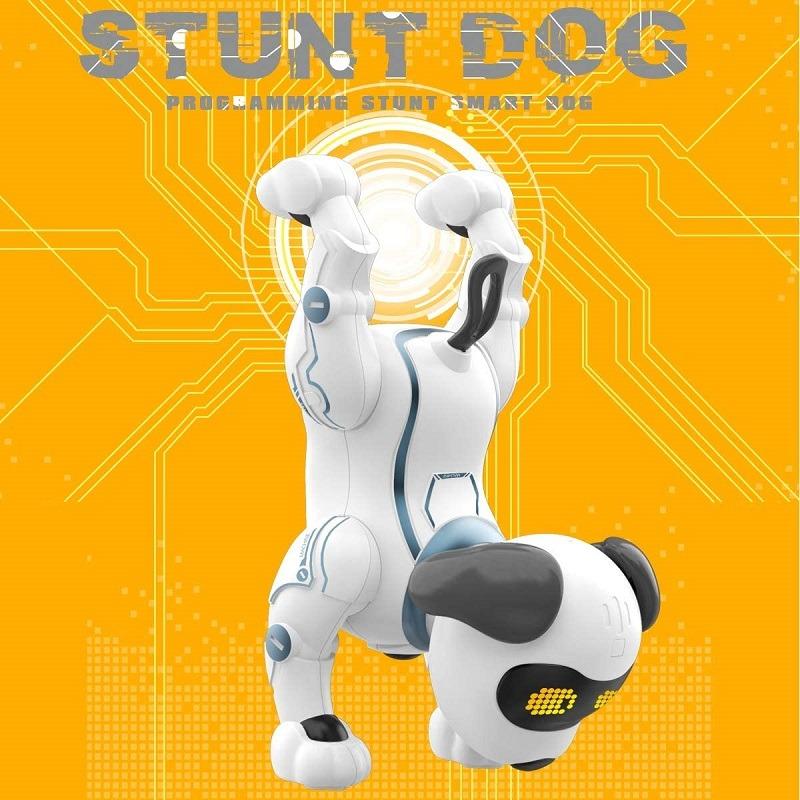 Robot Stunt Dog