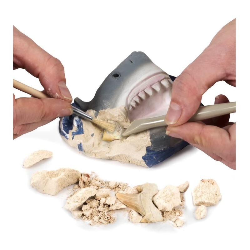 ناشيونال جيوغرافيك - مجموعة أدوات حفر أسنان القرش