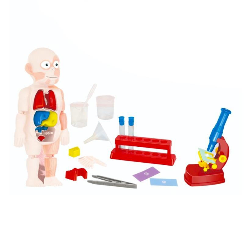 Human Body Experiment Set With Light
