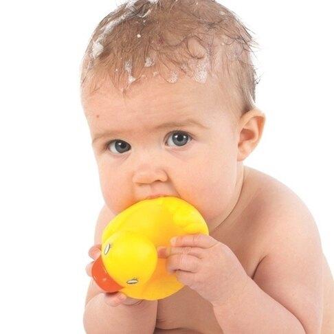 Playgro Duck Bath Toy