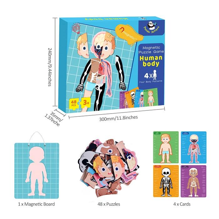 Magnetic Puzzle Game - Human Body