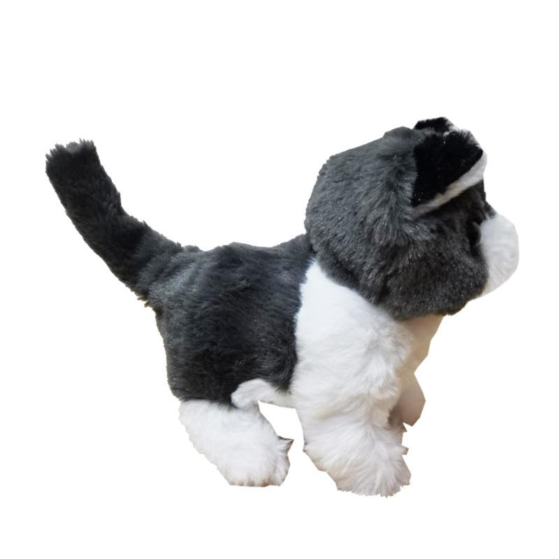 Interactive Cat Toy - Black With White