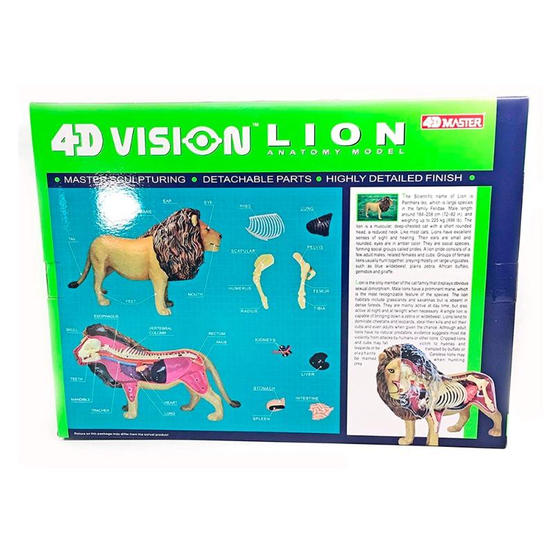 المجموعة التعليمية لتشريح الأسد