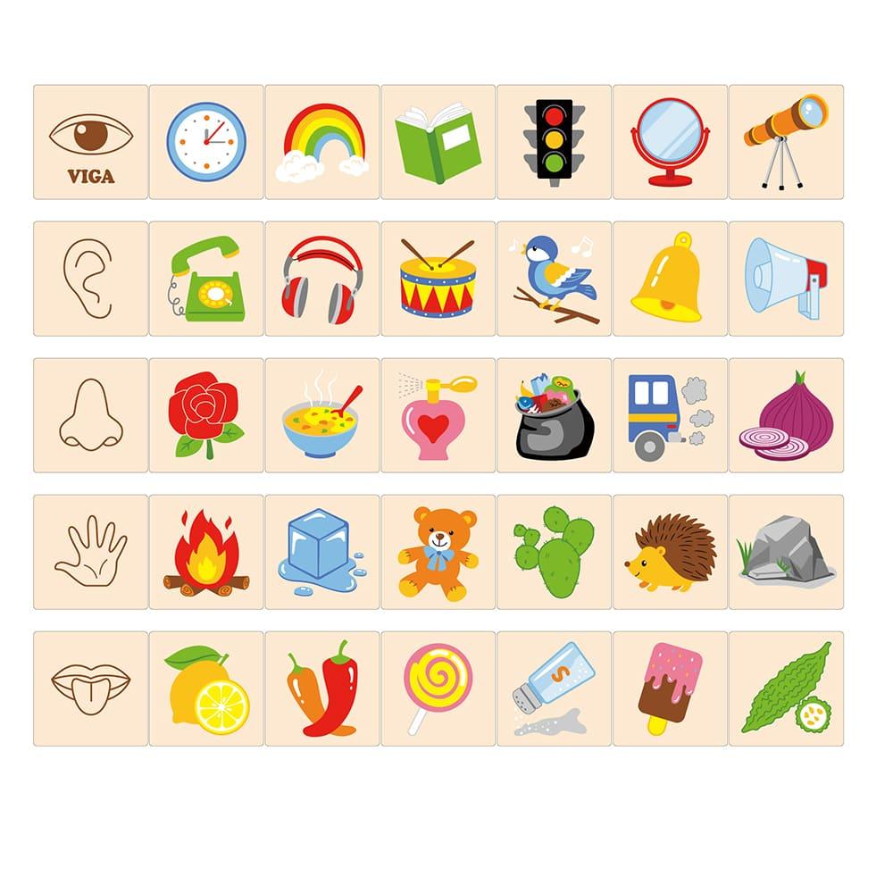 فيجا - بزل تعليم الحواس