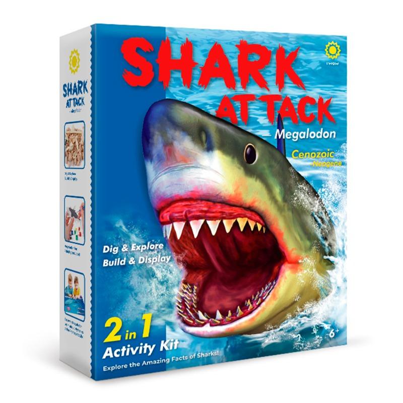 Shark Attack Digs And Paints Megalodon