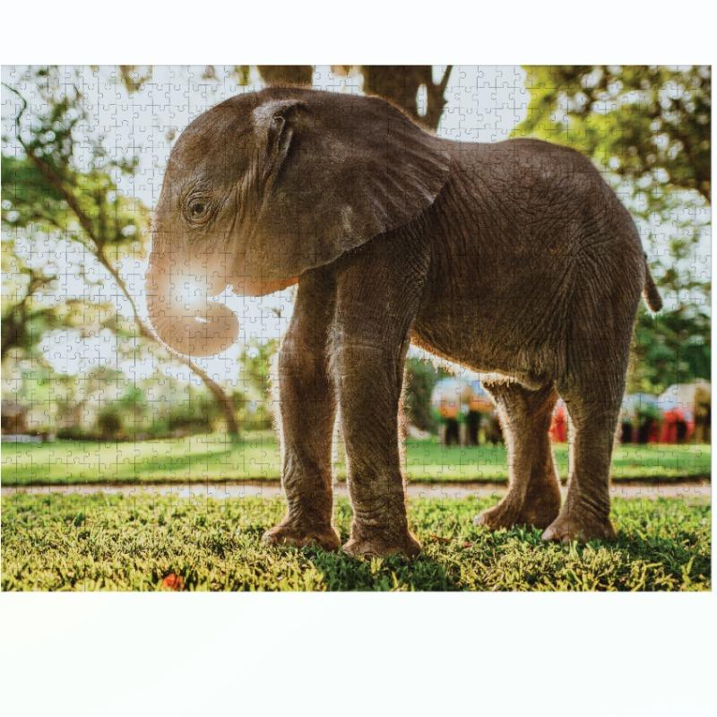 Ambassador - Wild Animal Families Donal Boyd 3x1000 Pcs - Shape 3