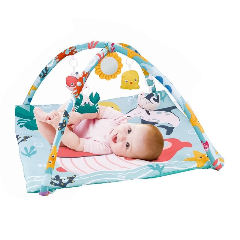 Baby Gym Mat