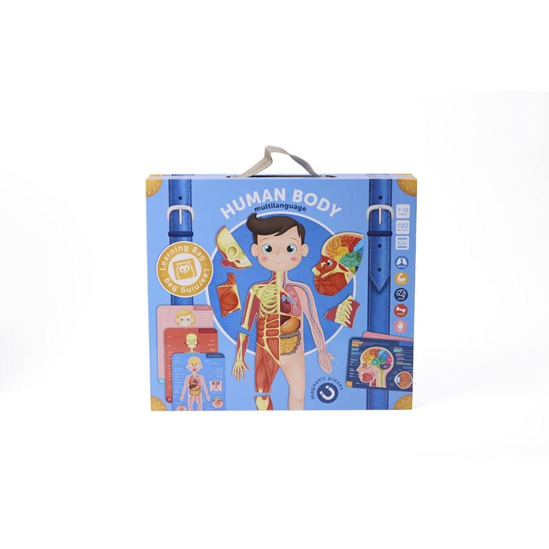 Human Body Puzzle Toy