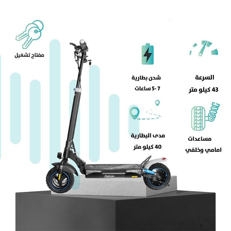Falcon Electric Scooter, 10-inch Tire, with Brakes, LED Light, and Starter Key