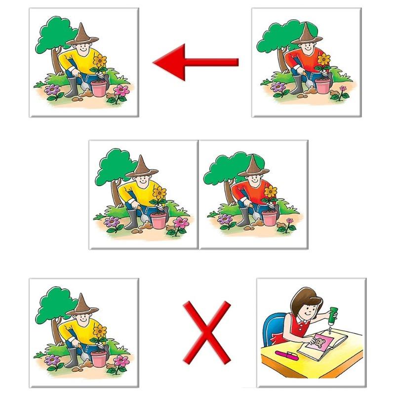 Frank Something's Different Cards Game - 24 Cards