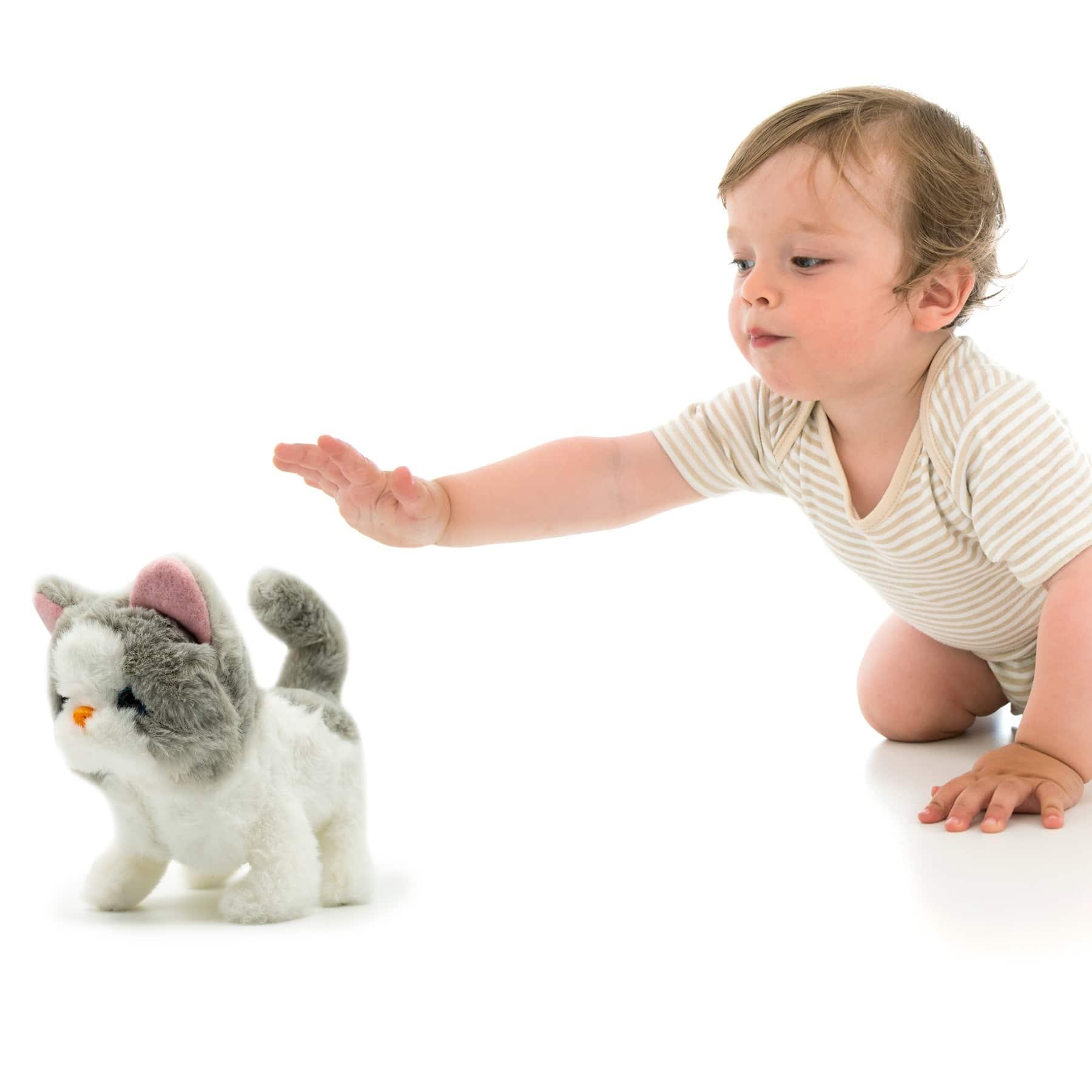 دمية القطة ساشا بجز آت بلاي