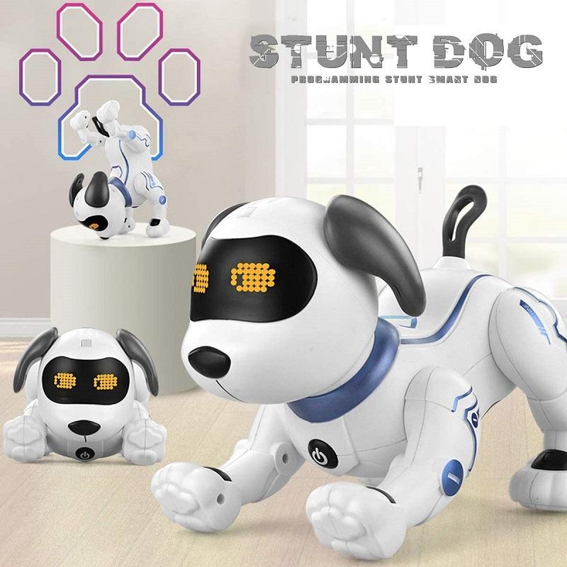 Robot Stunt Dog