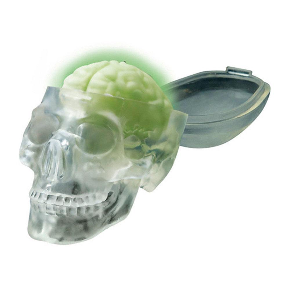 4M Glow Skull