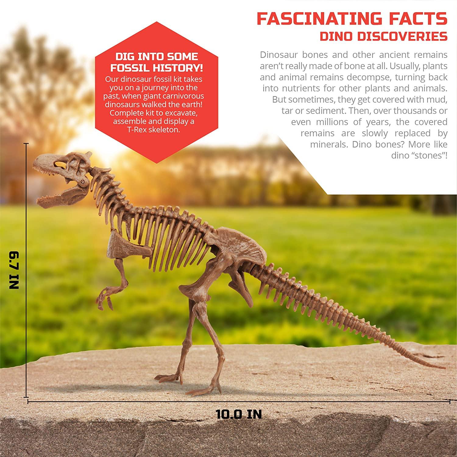 Discovery Mindblown Dinosaur 3D Fossil Dig Excavation Kit - 15 Pcs