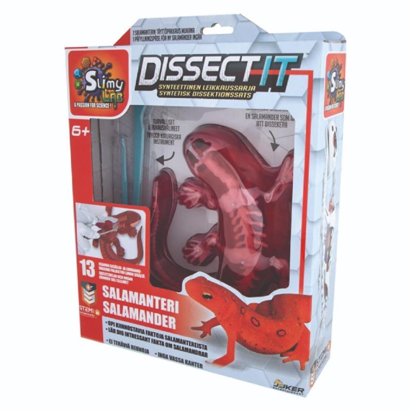 Dissect it Salamander