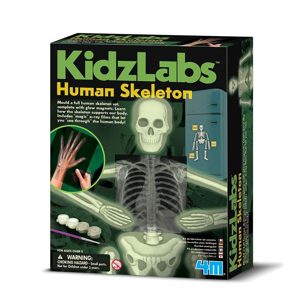 فور إم - الهيكل العظمي المضيئ