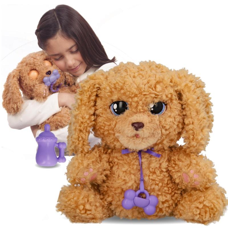 Baby Paws Labradoodle Puppy