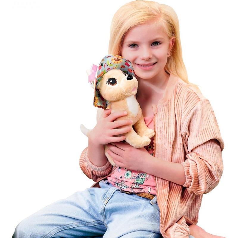 تشي تشي - جرو لوف فاربيغ مع أدوات البستان