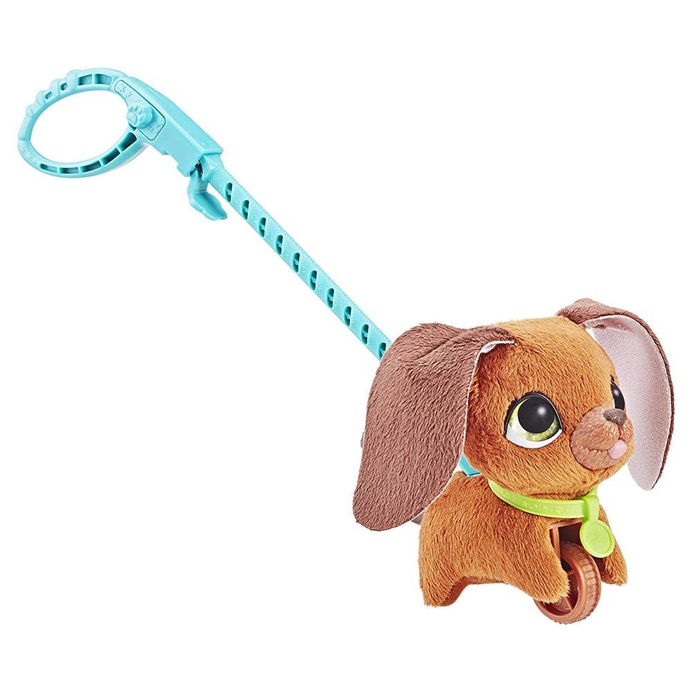 فوريل - الجرو المرح يمشي