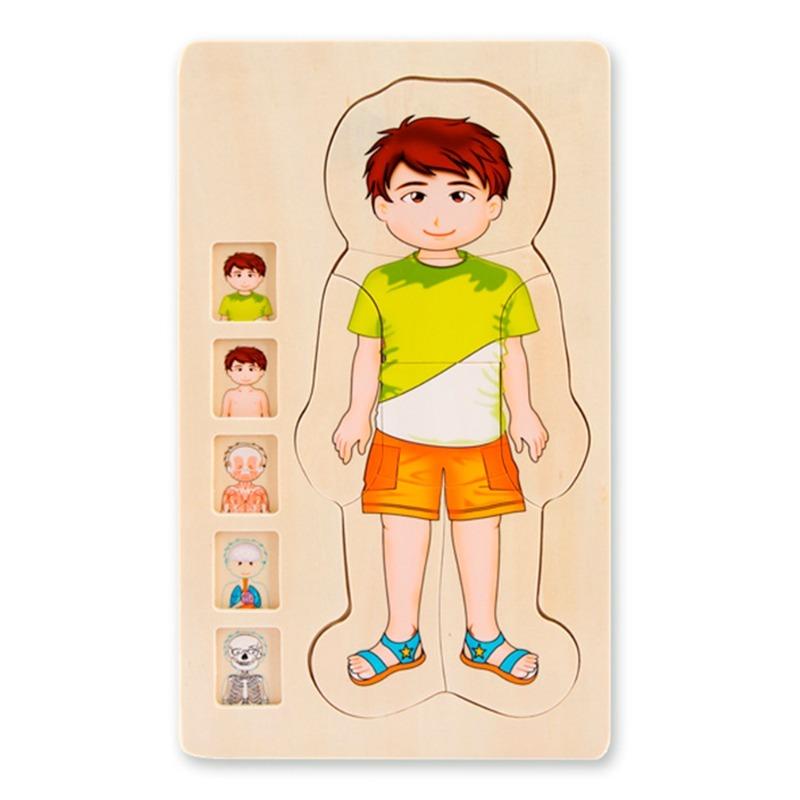Beetle Pounding Bench + Wooden Butterfly Block + Wooden Frog Block + Your Body 5 Layers Wooden Puzzle Bundle