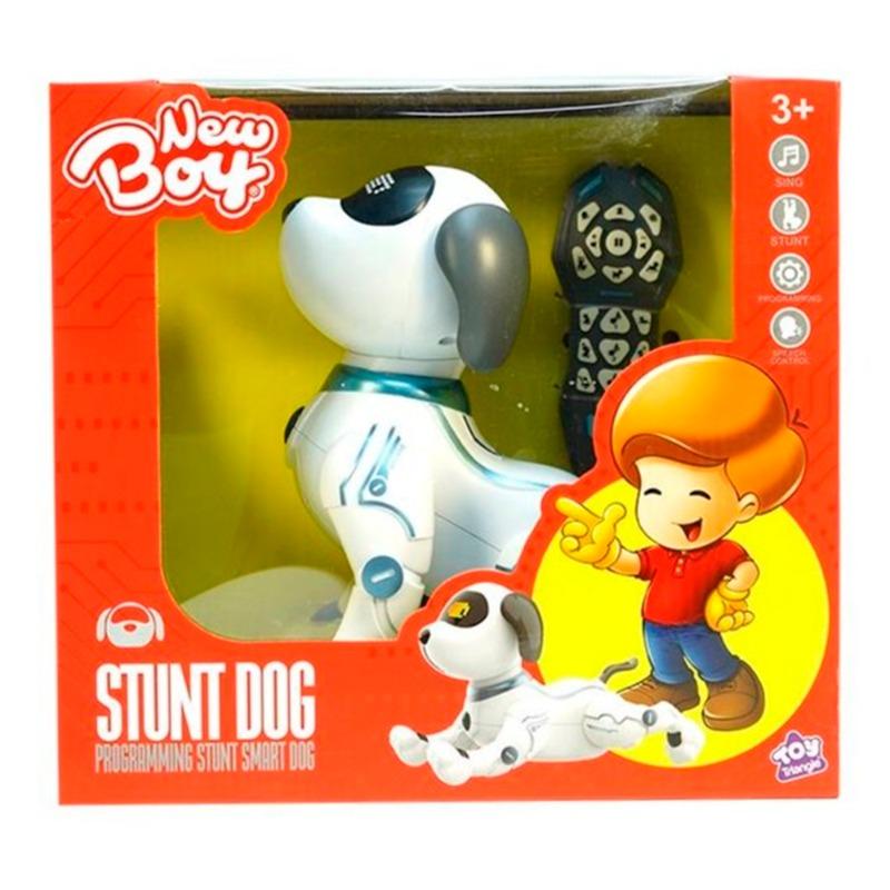 New Boy Robot Programming Stunt Smart Dog