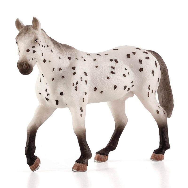 Mojo Appaloosa Stallion