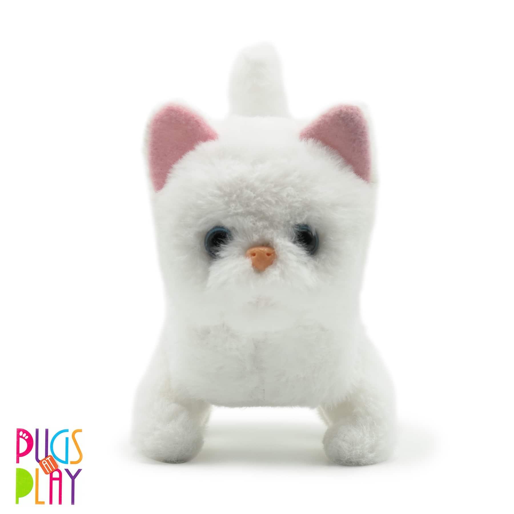 Pugs at Play Casper Walking Cat