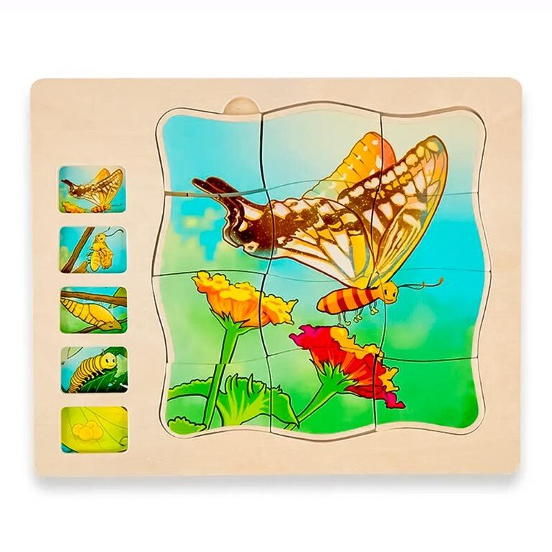 Beetle Pounding Bench + Wooden Butterfly Block + Wooden Frog Block + Your Body 5 Layers Wooden Puzzle Bundle