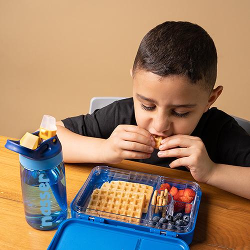 لانش بوكس - الحيوانات