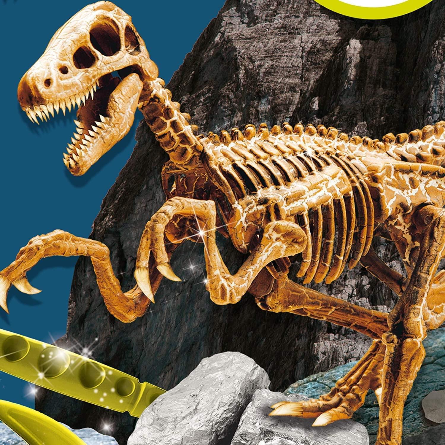 ليسياني - مجموعة حفر آيم أجينيوس بريديتورز 2 في 1