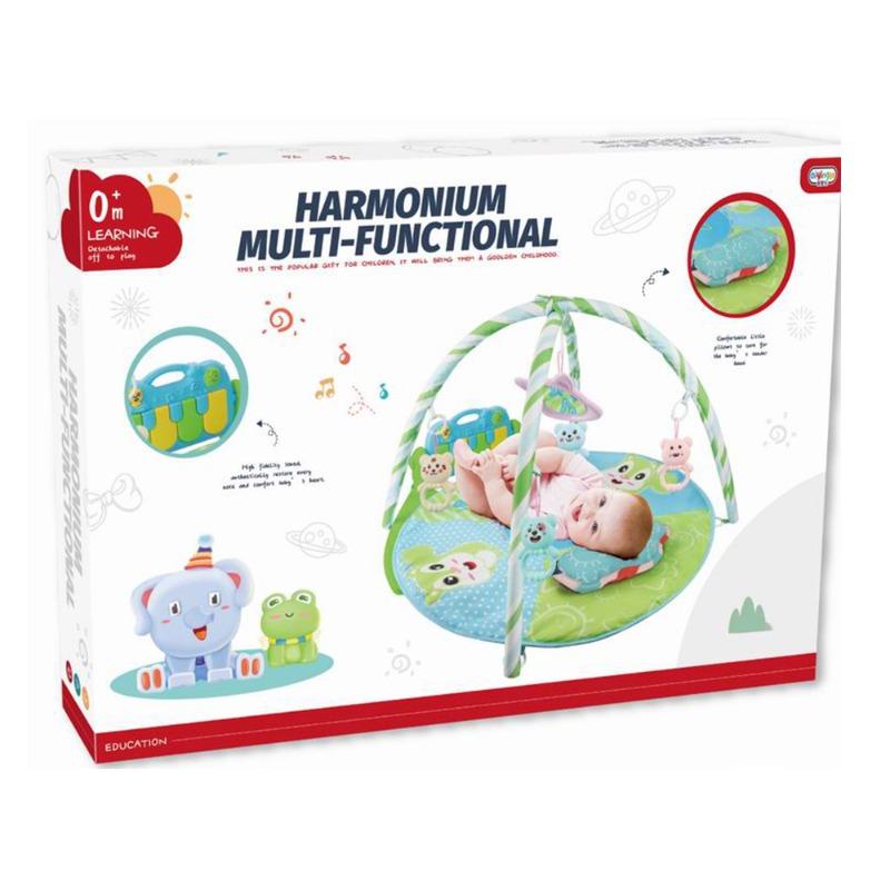 Baby Gym Mat