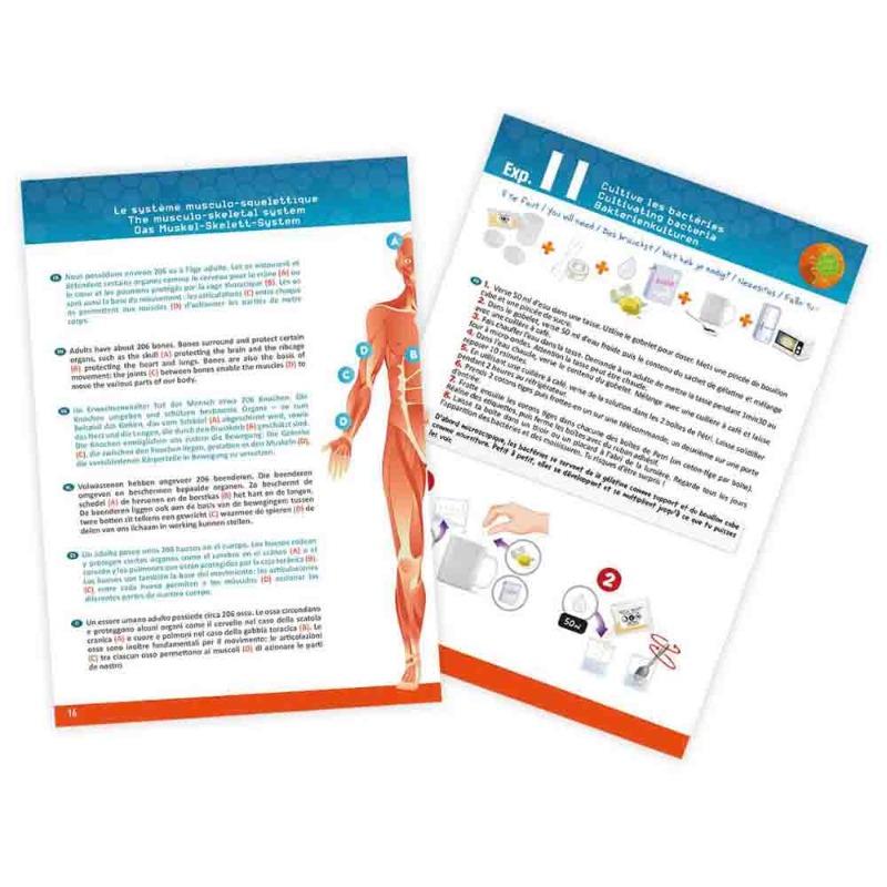 بوكي فرانس - مجموعة تعليم جسم الإنسان 12 تجربة تشريحية