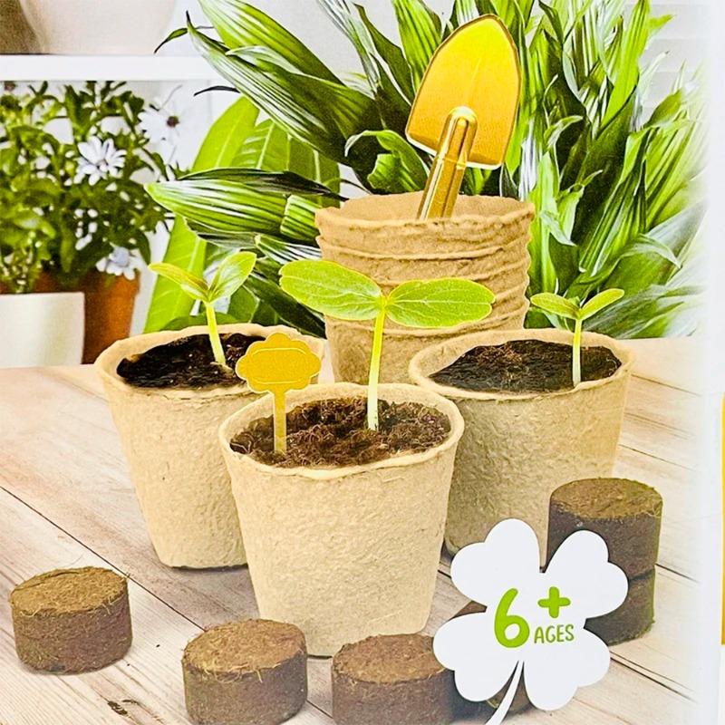 مجموعة زراعة النباتات الشمسية للأطفال