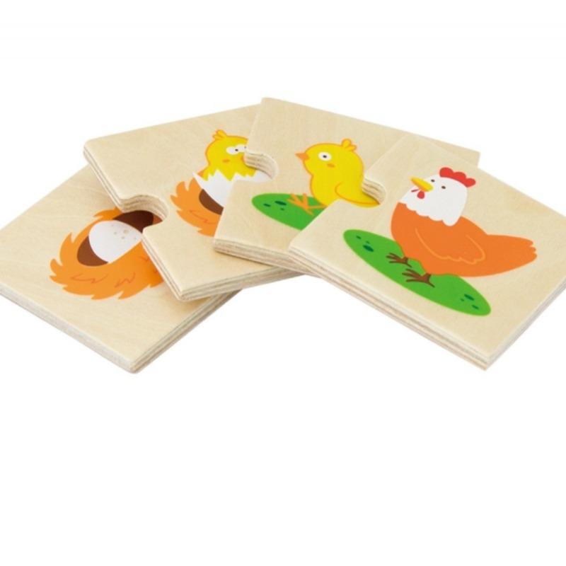 فيجا - مراحل النمو