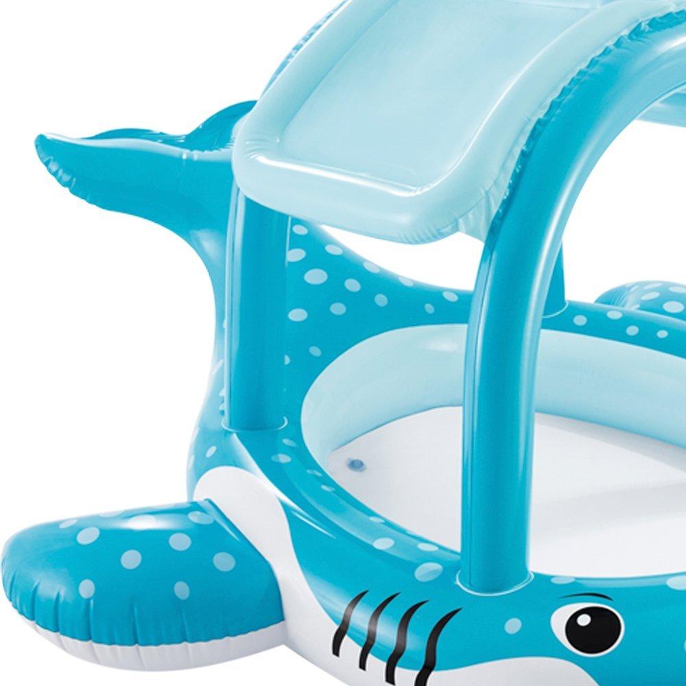 انتكس - بركة الظل الحوت