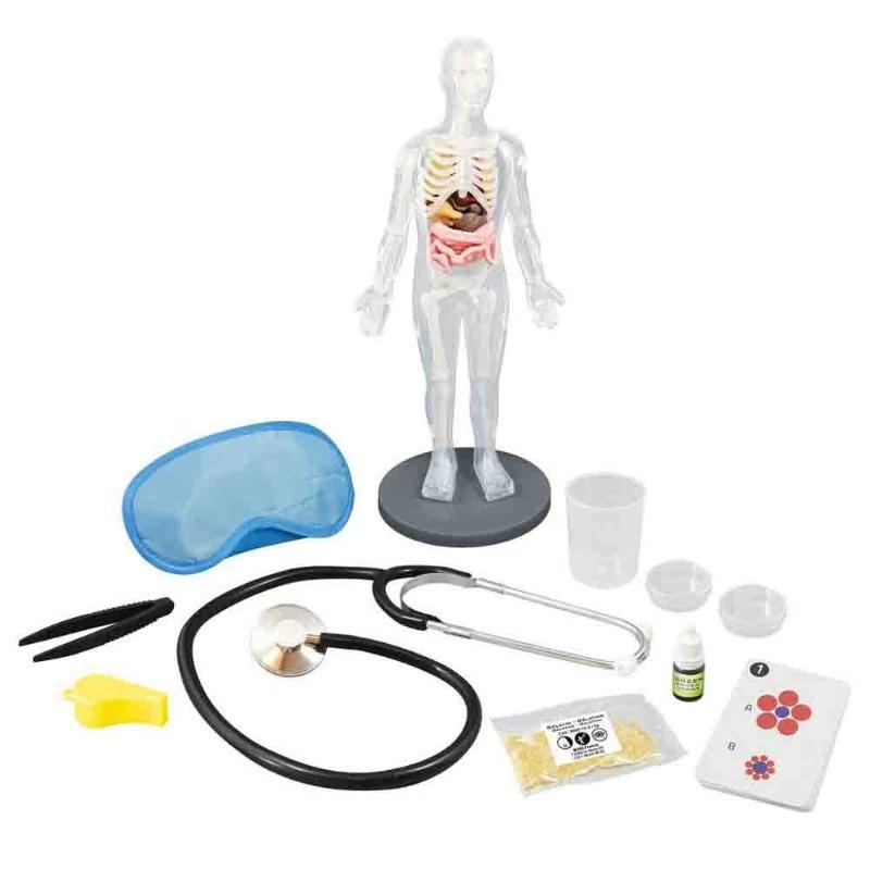 بوكي فرانس - مجموعة تعليم جسم الإنسان 12 تجربة تشريحية