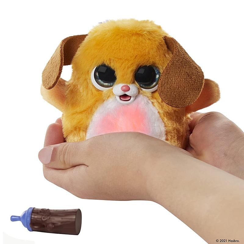 فوريل - فوزالوتس بوبي