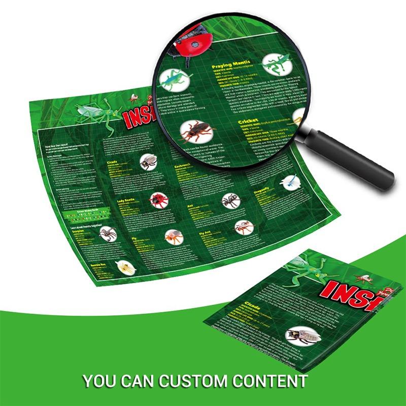 مجموعة تلوين الحشرات المختلفة