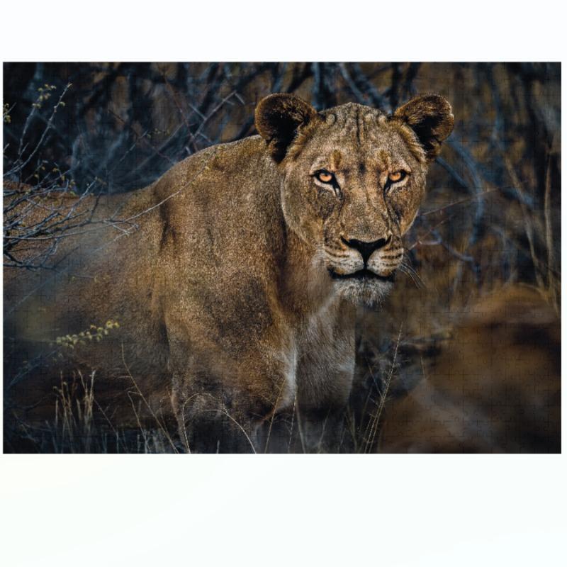 Ambassador - Wild Animal Families Donal Boyd 3x1000 Pcs - Shape 2