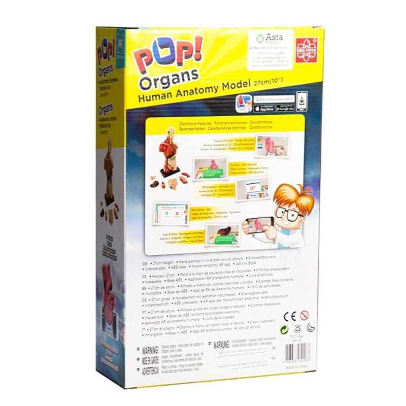 نموذج تشريحي لأعضاء الإنسان يتفاعل بتقنية الواقع الافتراضي