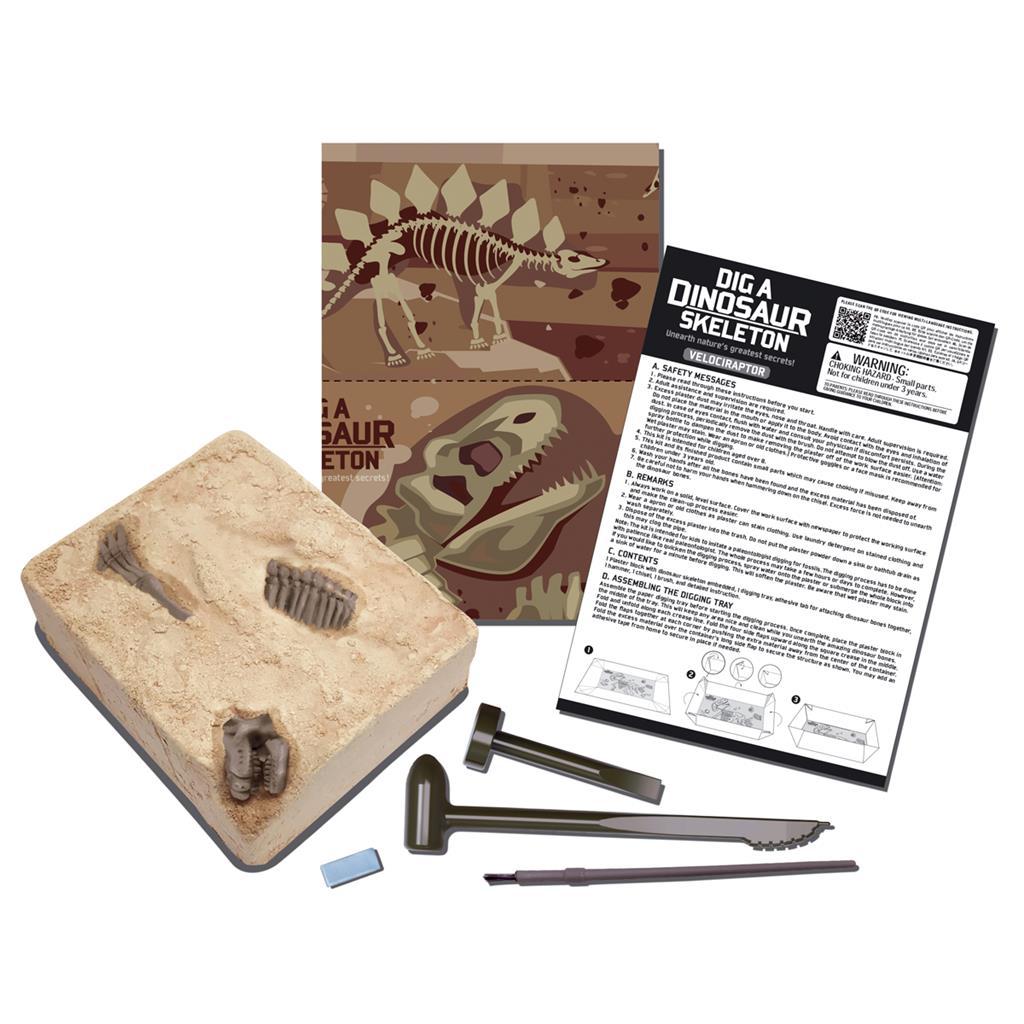 4M Kidz Labs Dig A Dinosaur Skeleton Velociraptor
