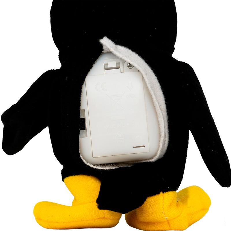 Pugs At Play Coco The Talking Toucan