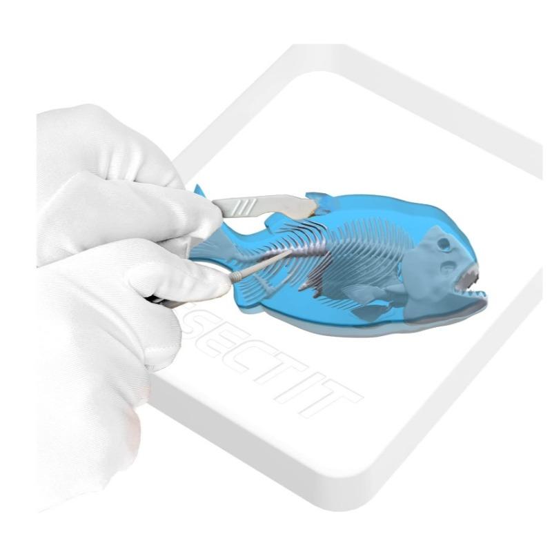 Slimy Dissect-It In Giftbox - Piranha